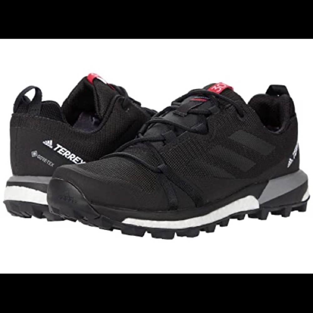 Adidas Terrex Skychaser Light Gortex Shoe